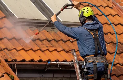 Démoussage et hydrofuge de toiture à Vieu-d'Izenave